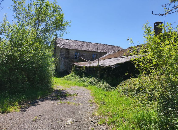 casas de campo