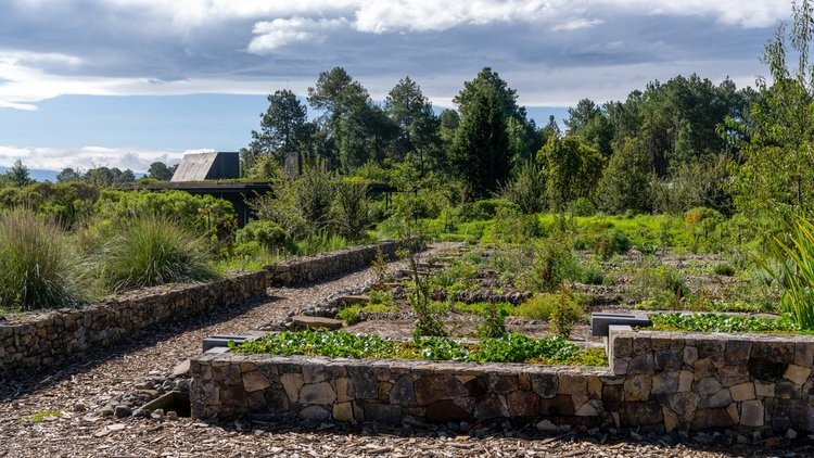 casas escológicas