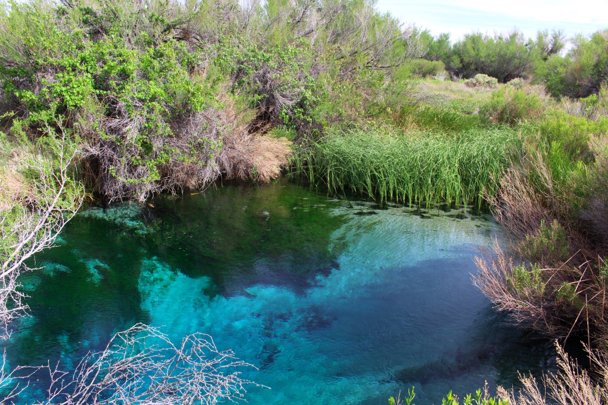 piscina natural