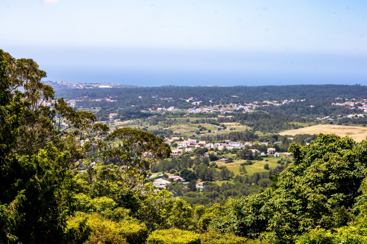 Apoios à habitação em Sintra