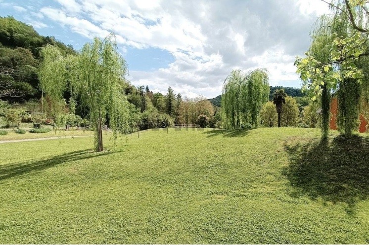 colinas de Prosecco