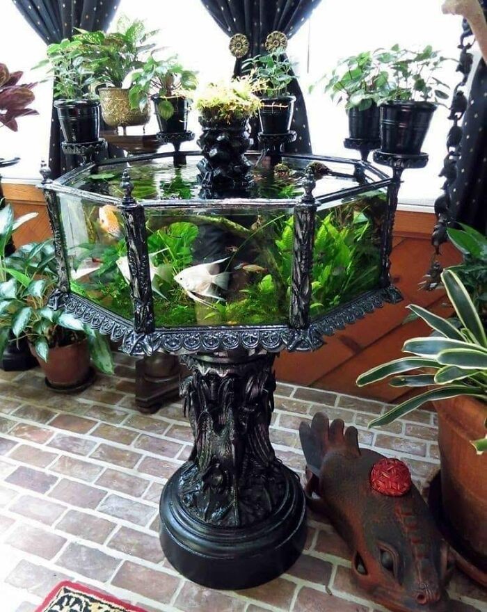 Uma mesa ou uma floresta