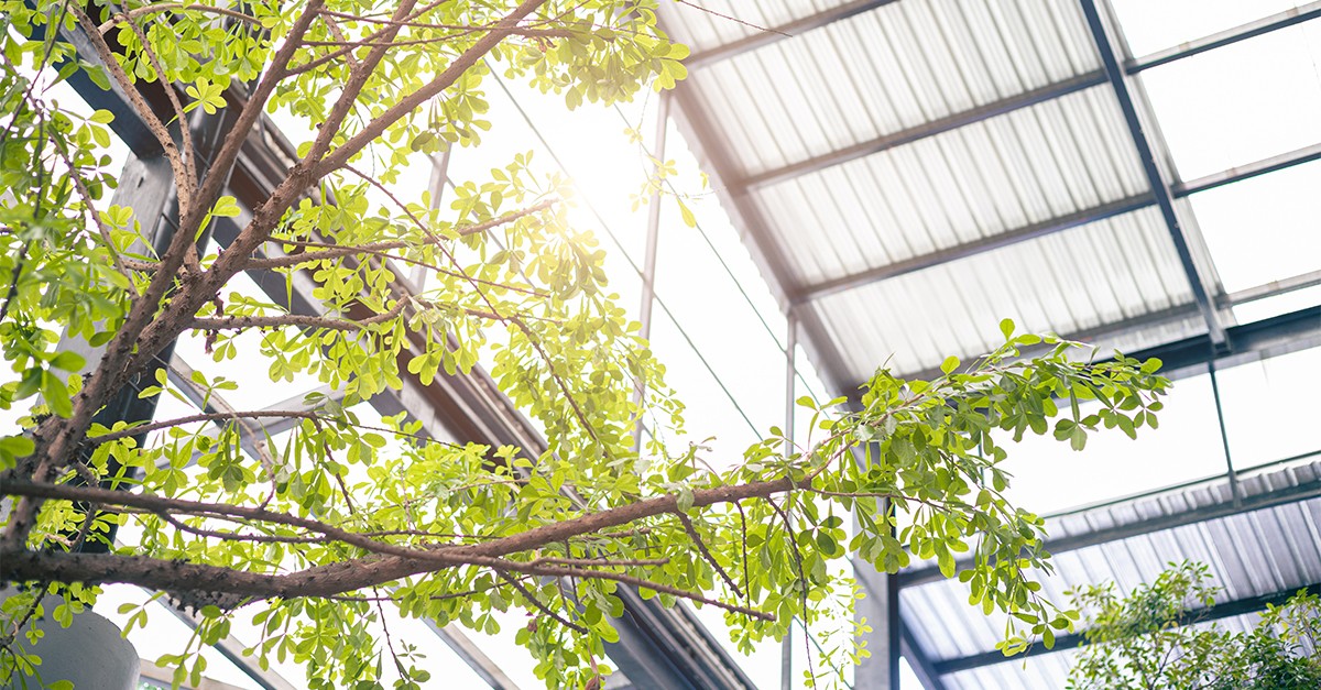 Sustentabilidade na construção