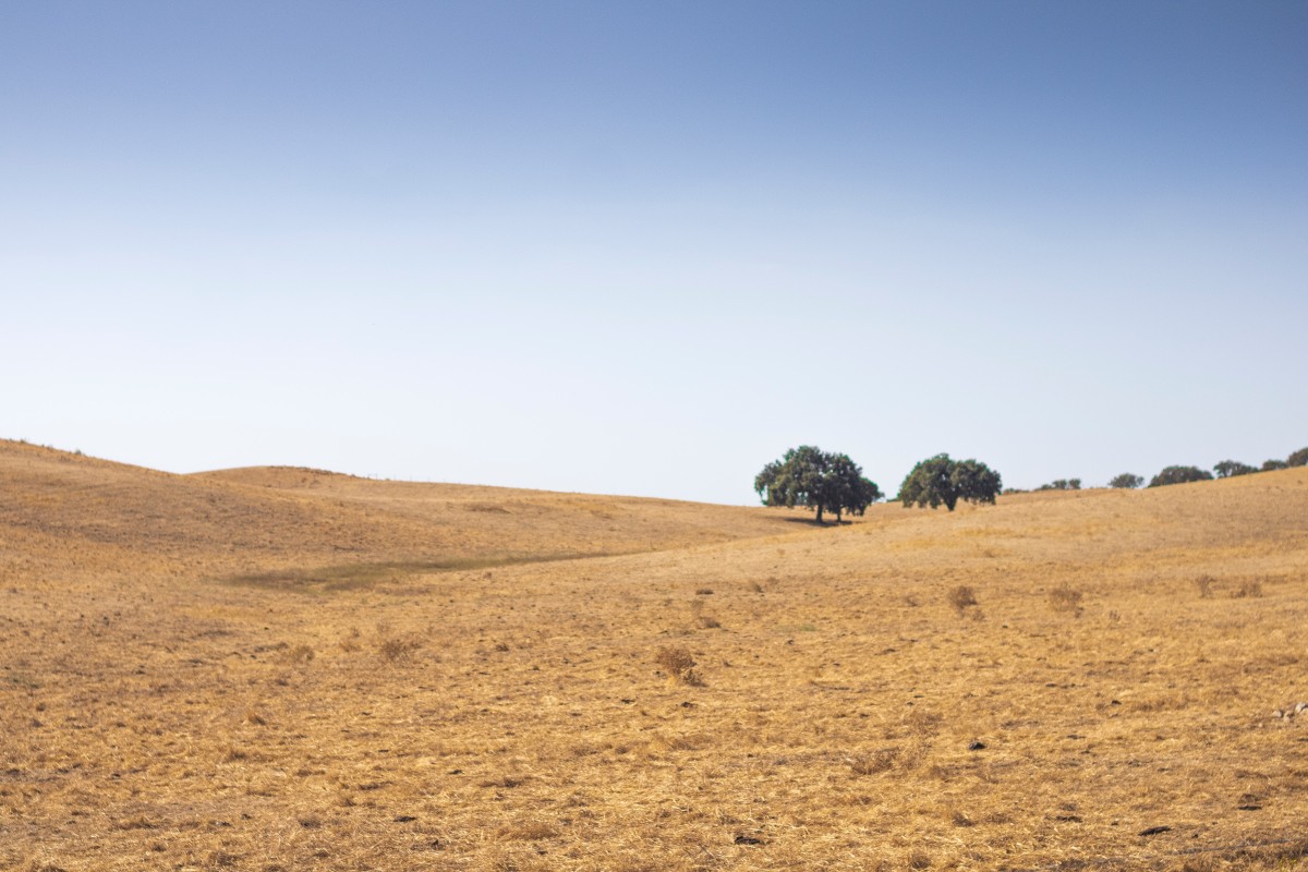 Terrenos e heranças em Portugal