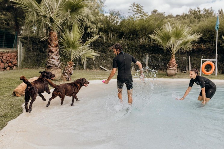 Dog hotel in the Algarve