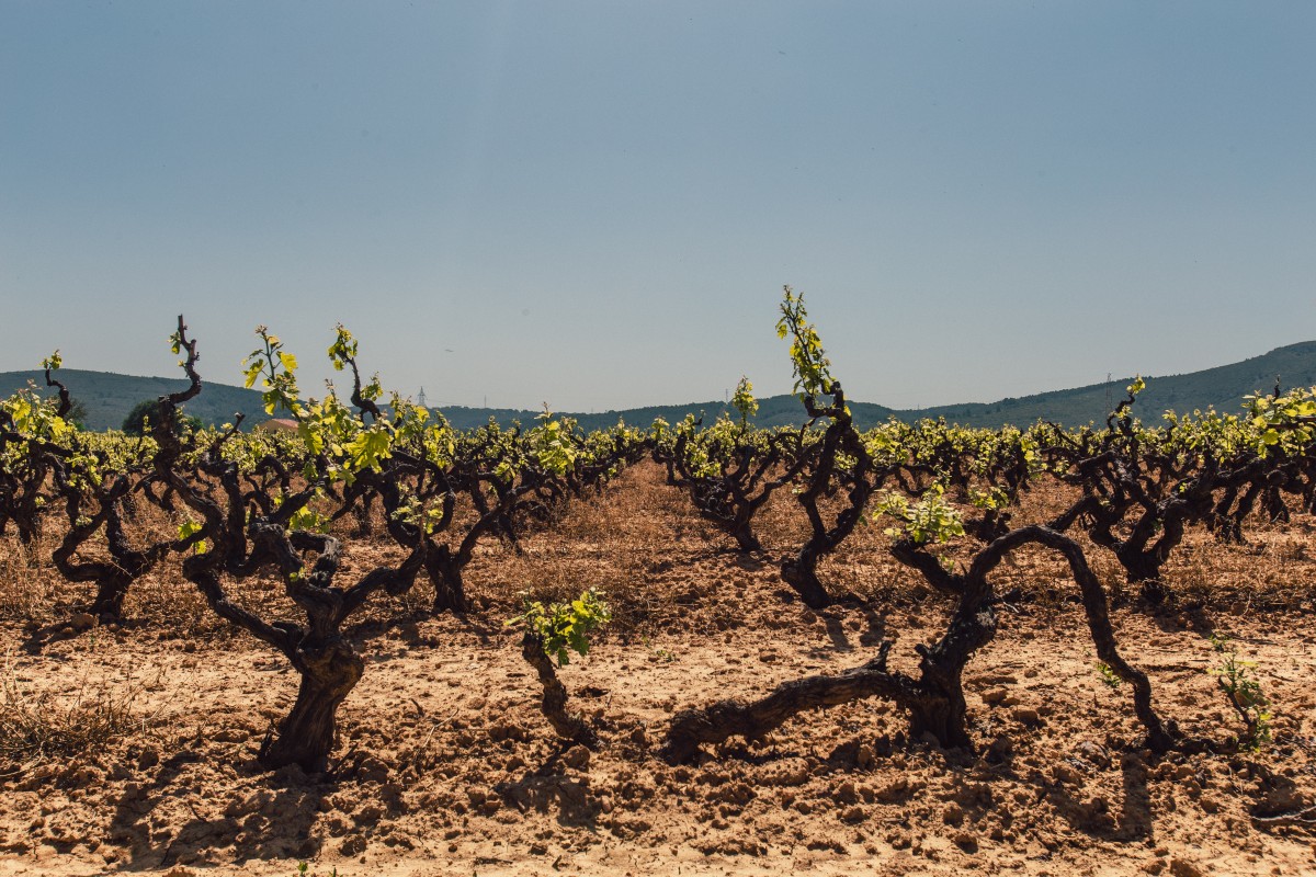 Douro