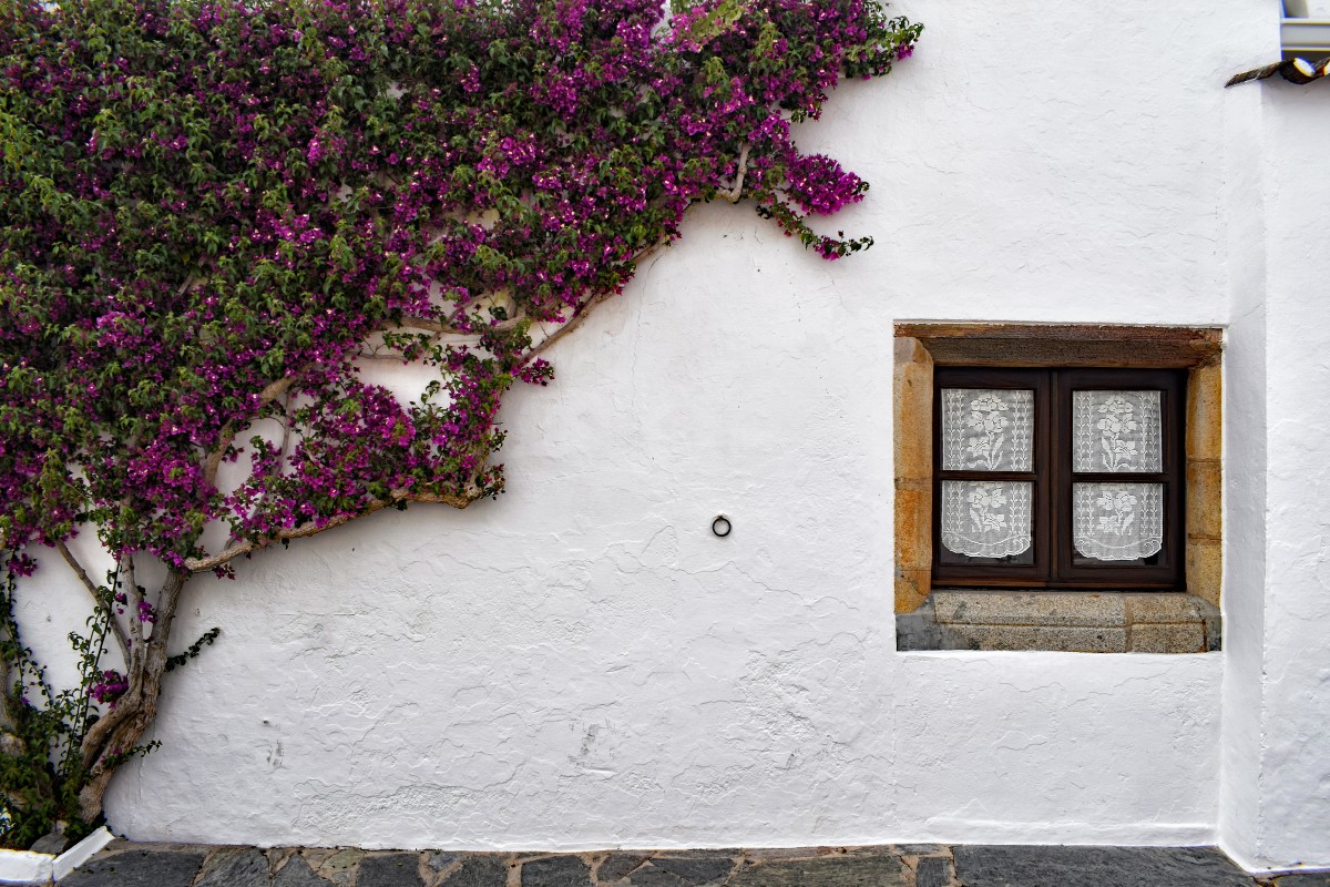 Casas no Alentejo