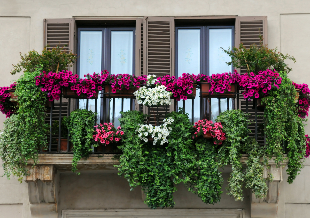 balconi_fioriti_immagini_2