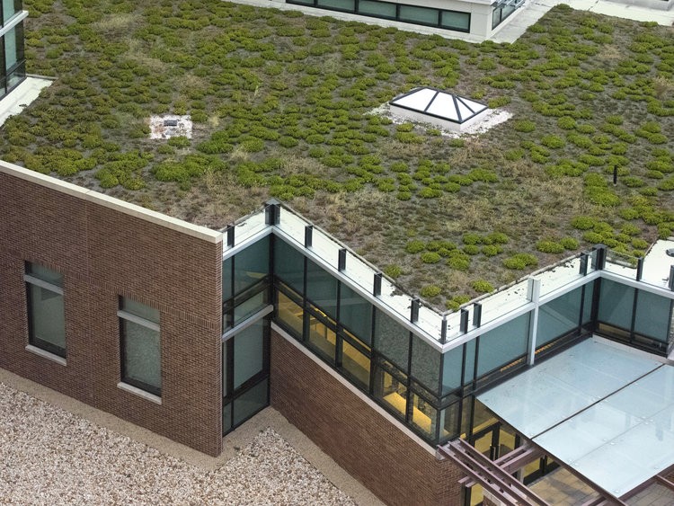 habitação sustentável