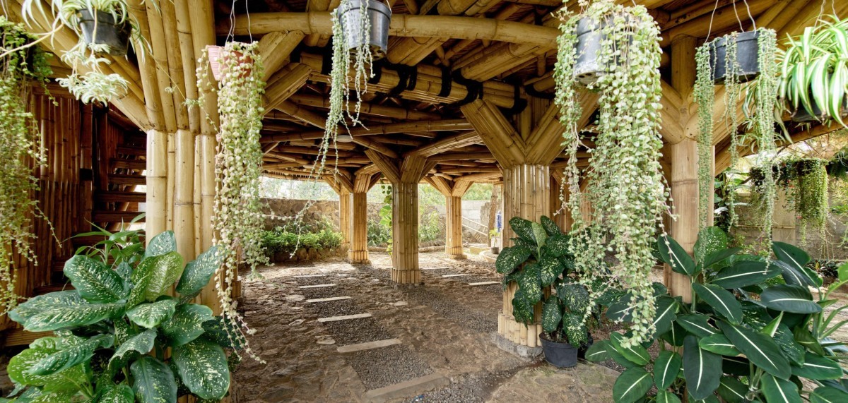 casas de bambu