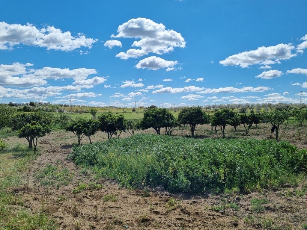 casas de campo com terreno