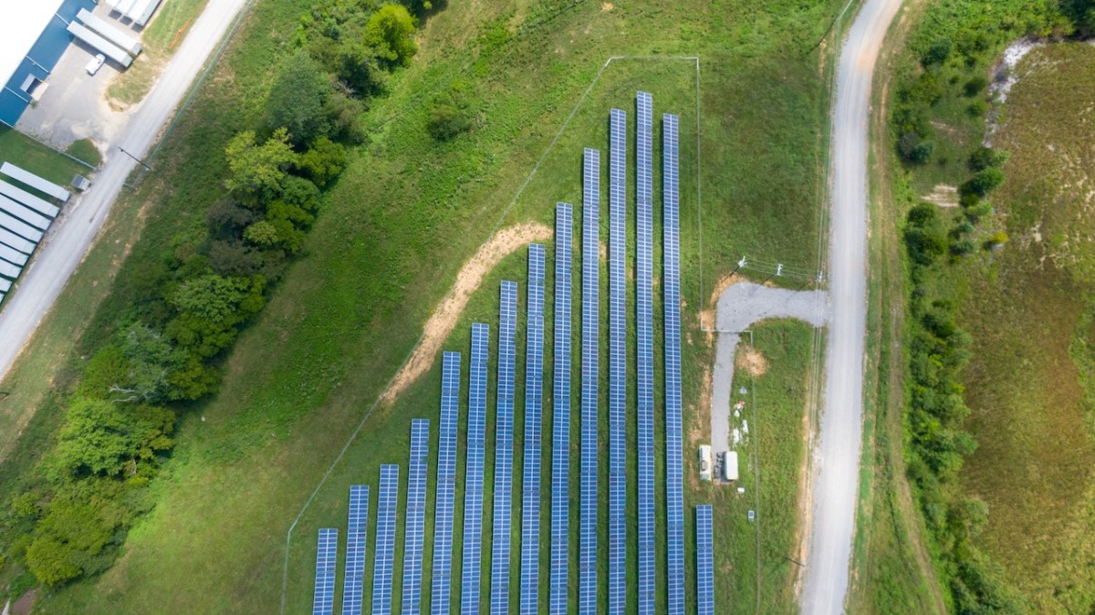 Investir em painéis fotovoltaicos