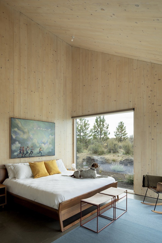 casas com design