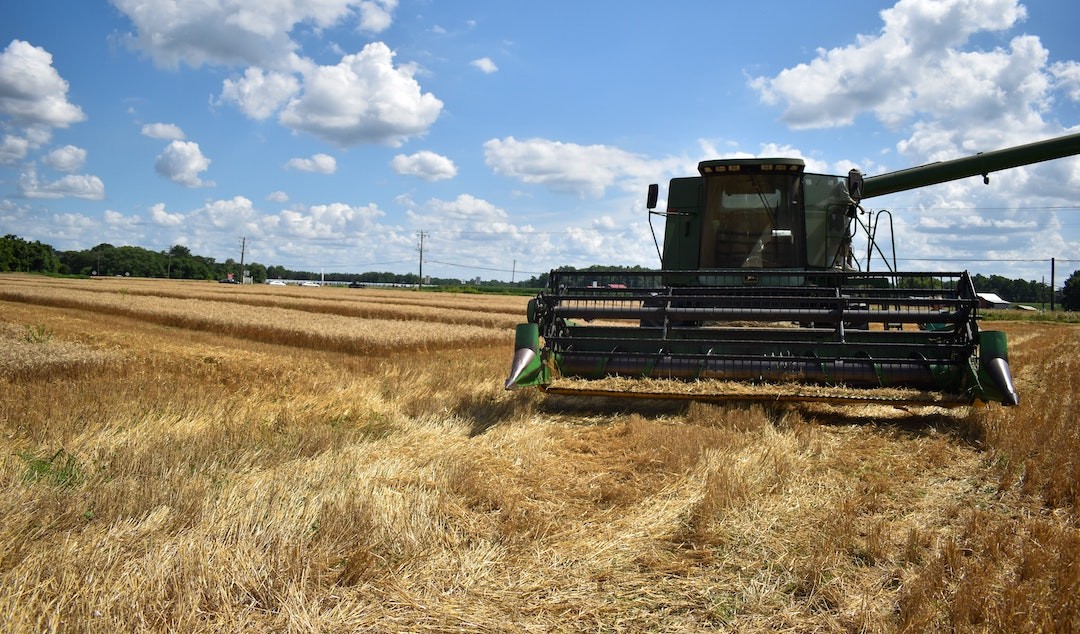 biocombustíveis em Portugal