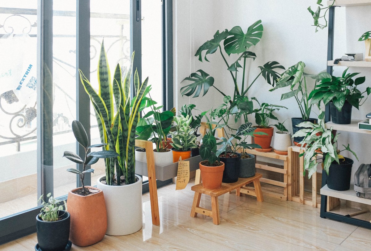 feng shui