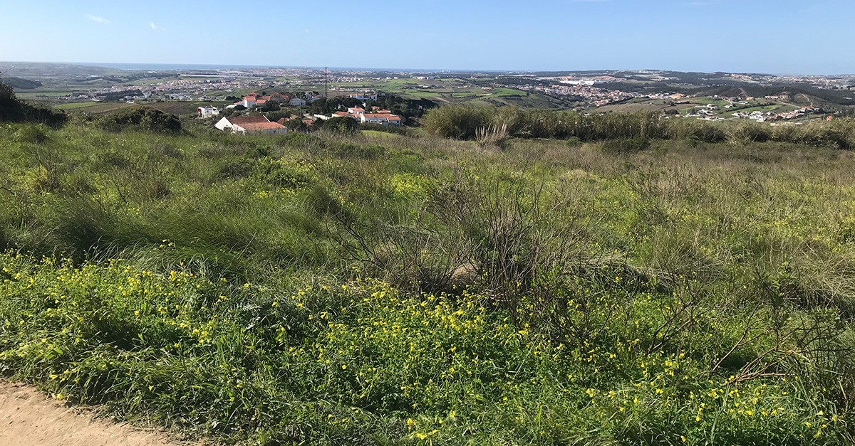 Terrenos com licença de construção aprovada