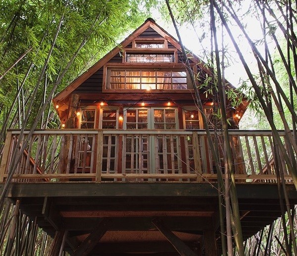 Alpaca Treehouse