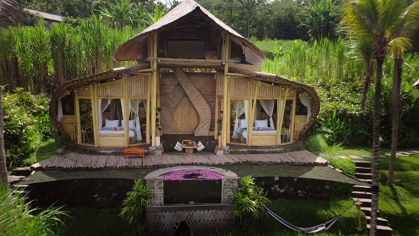 Camaya Bale Butterfly