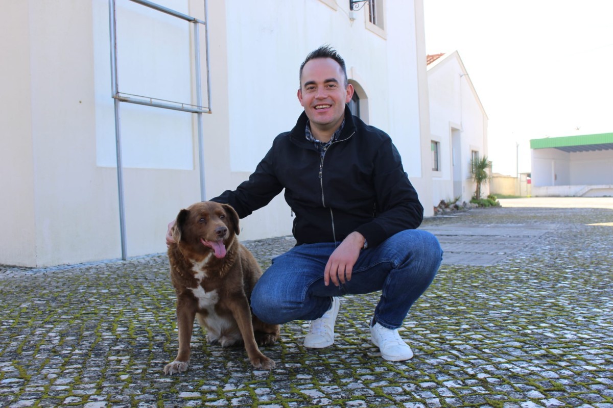 Cão mais velho do mundo