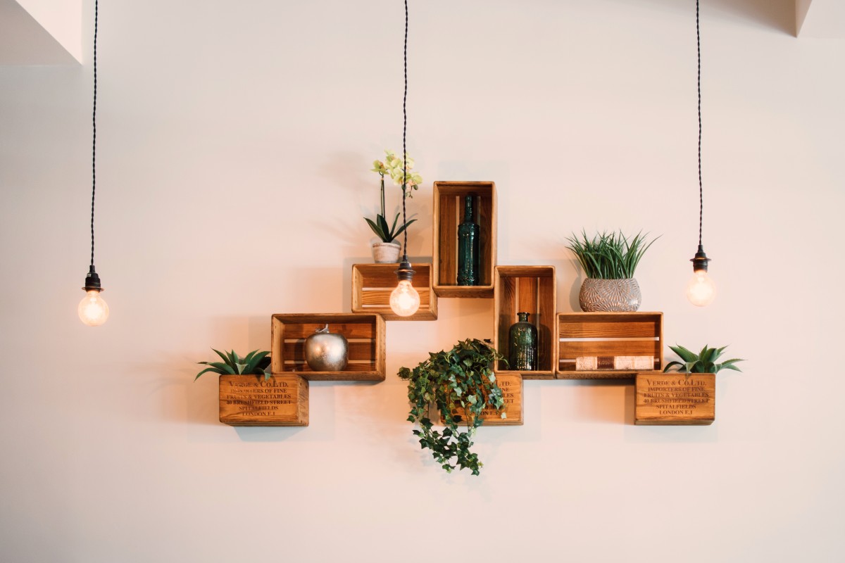 plantas de interior