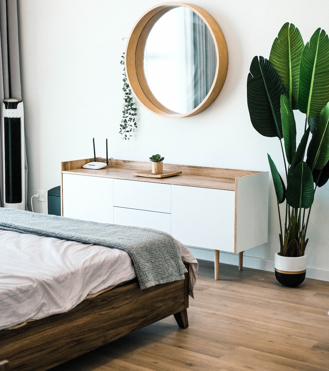 plantas de interiores