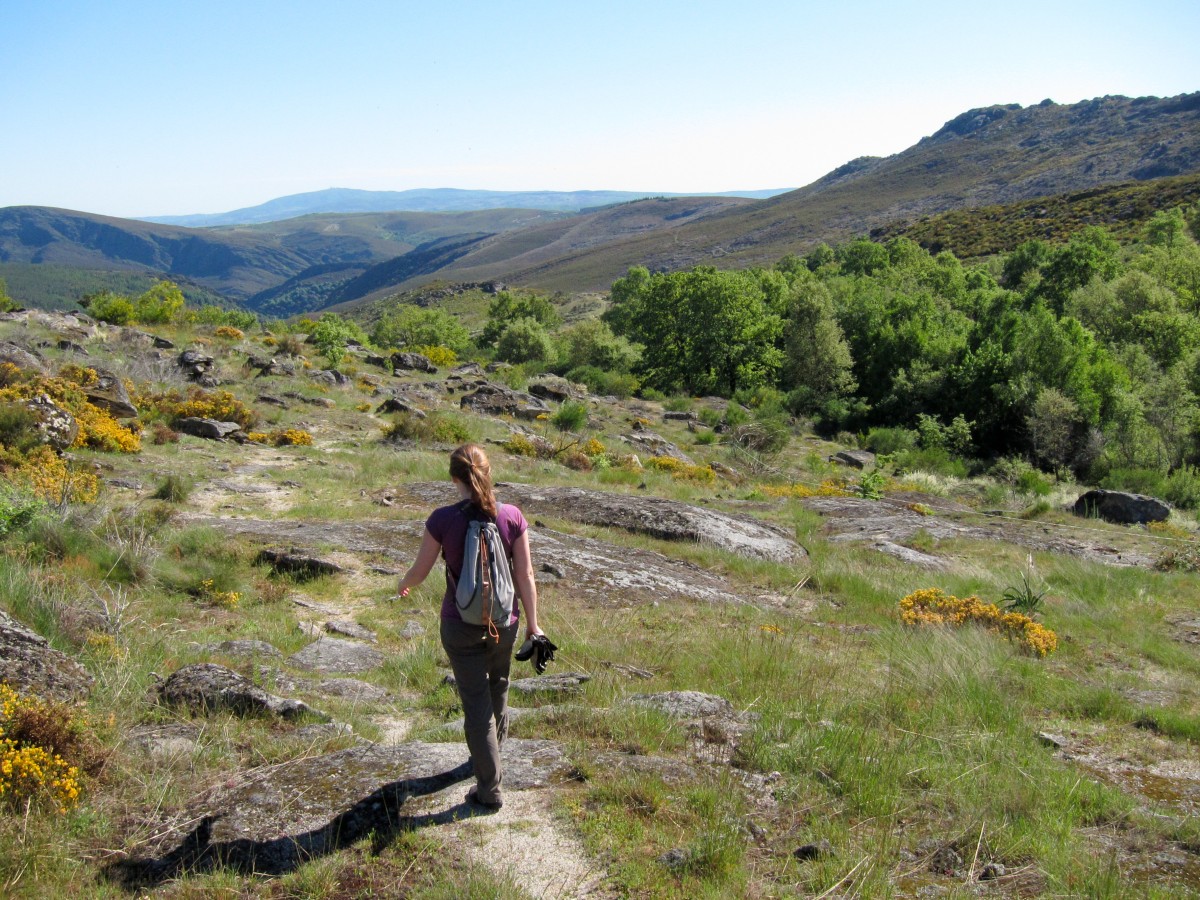Casas devolutas do Estado