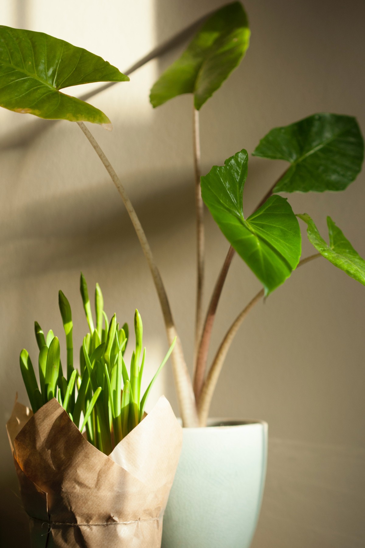 Plantas artificiais para decoração: como tirar o melhor proveito delas?