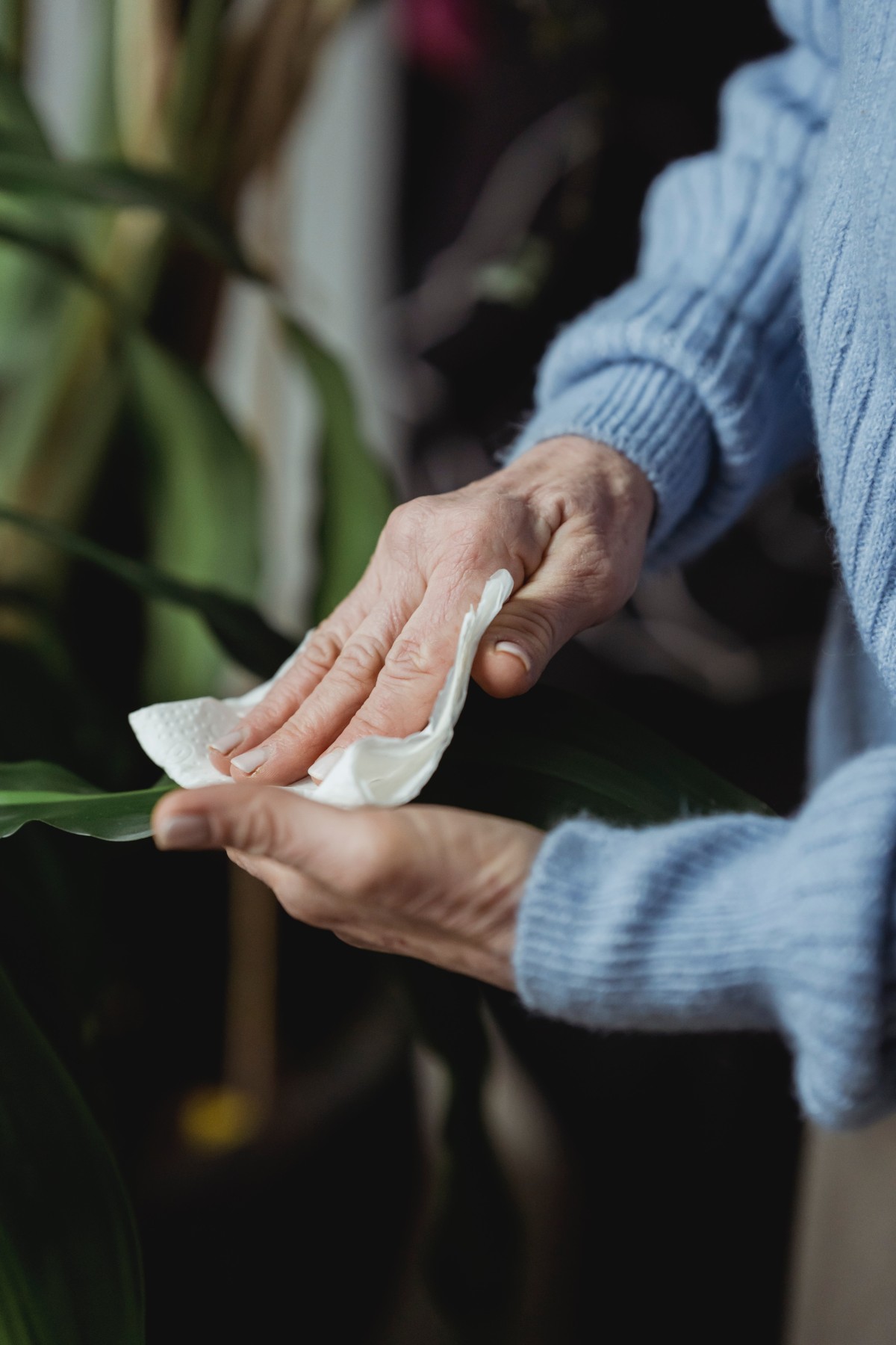 Como lavar plantas artificiais?