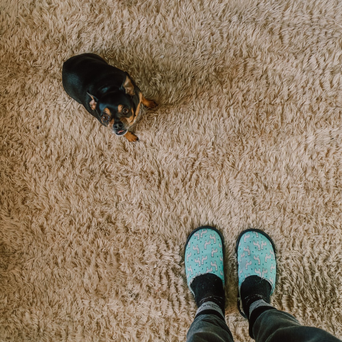 Porque devemos tirar os sapatos em casa?