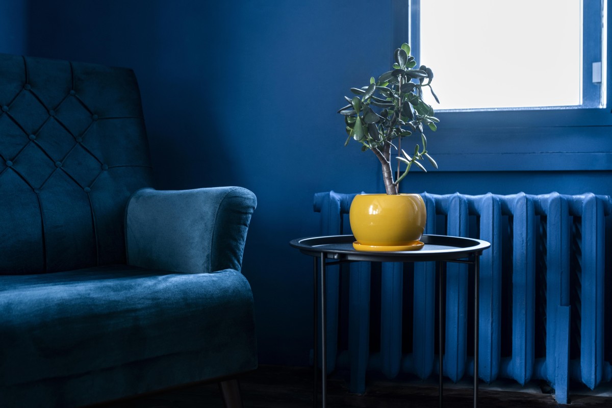decorarea casei în nuanțe de albastru