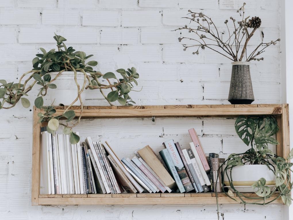 Prateleira com livros e plantas