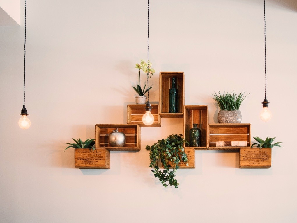 Decoração de Parede com Plantas