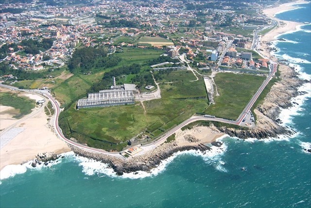 seca do bacalhau