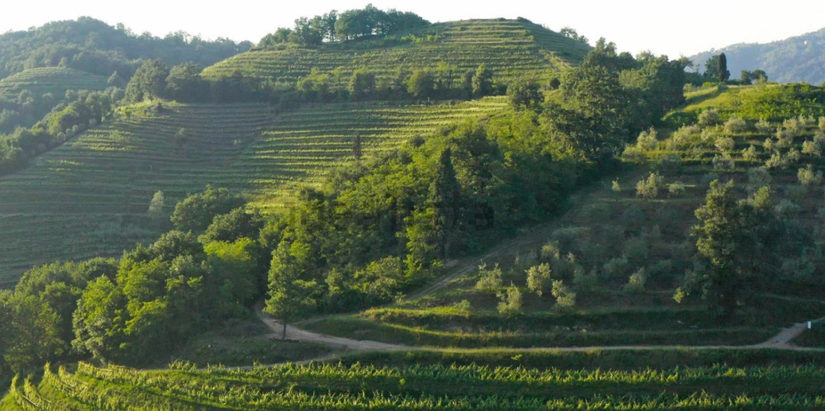 relais bio