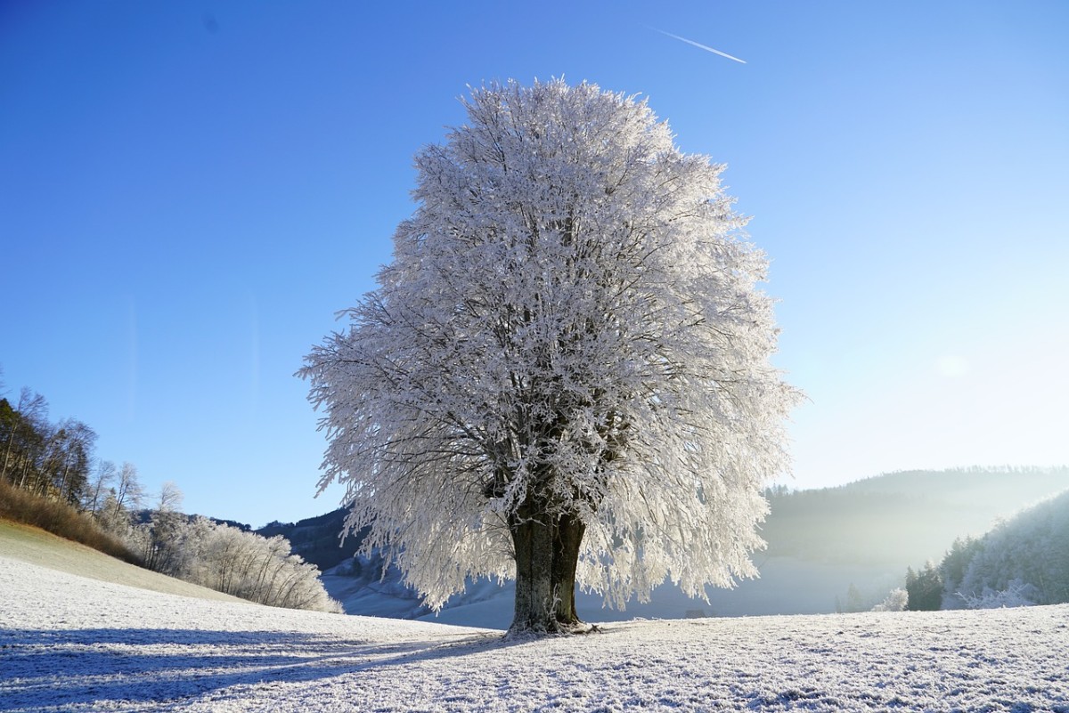 Início inverno