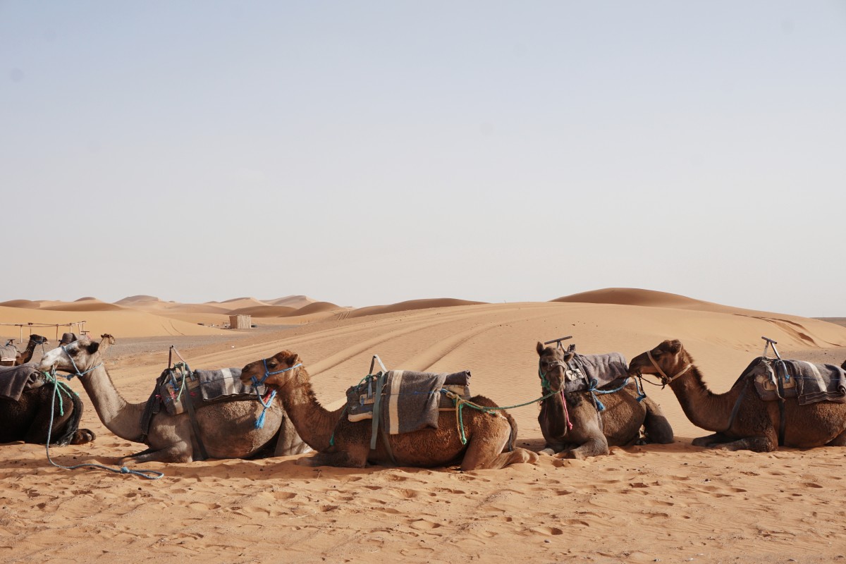 Marrocos