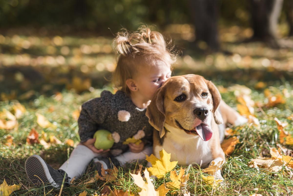 Cães e crianças