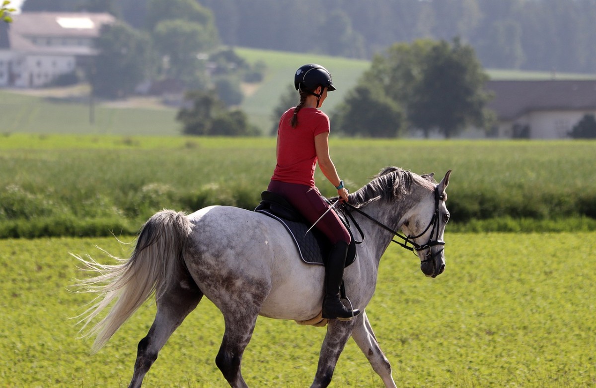 Passeio a cavalo