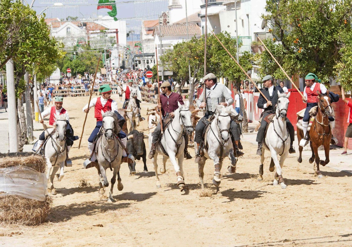 Festas do Barrete Verde e das Salinas