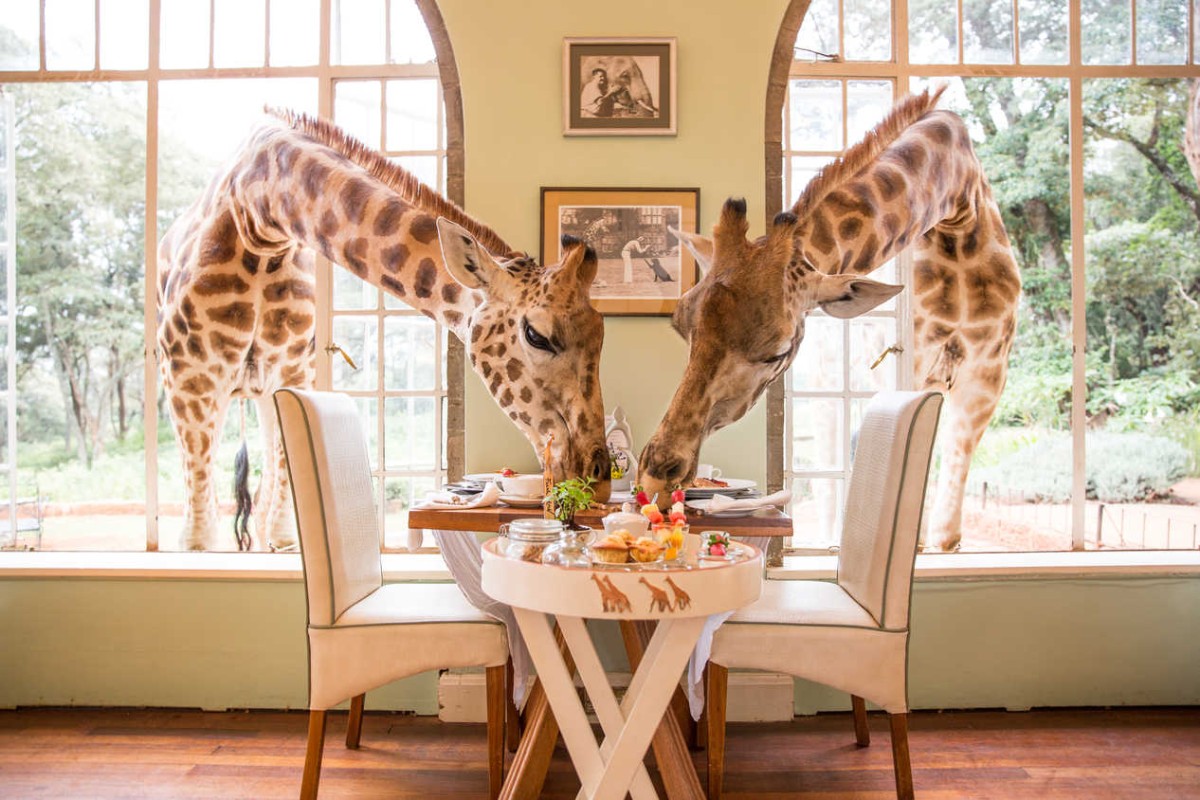 Os 10 alojamentos mais bizarros do mundo - Giraffe Manor
