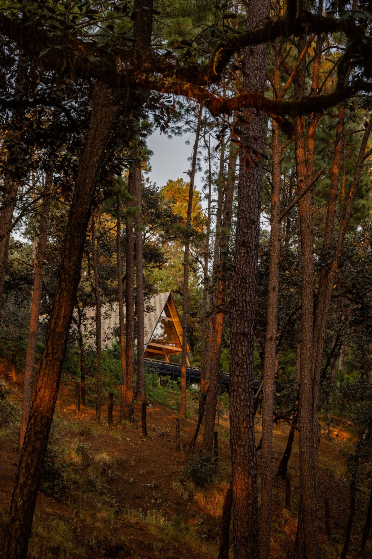 casas na natureza