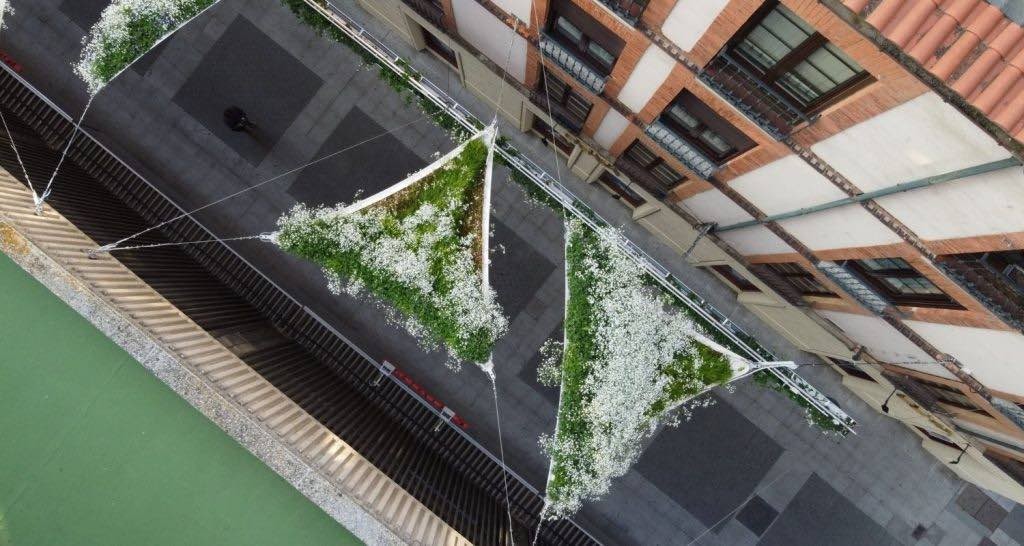 toldo de plantas