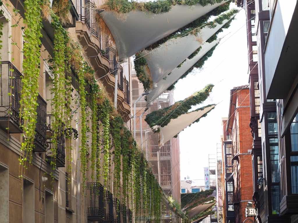 toldo de plantas
