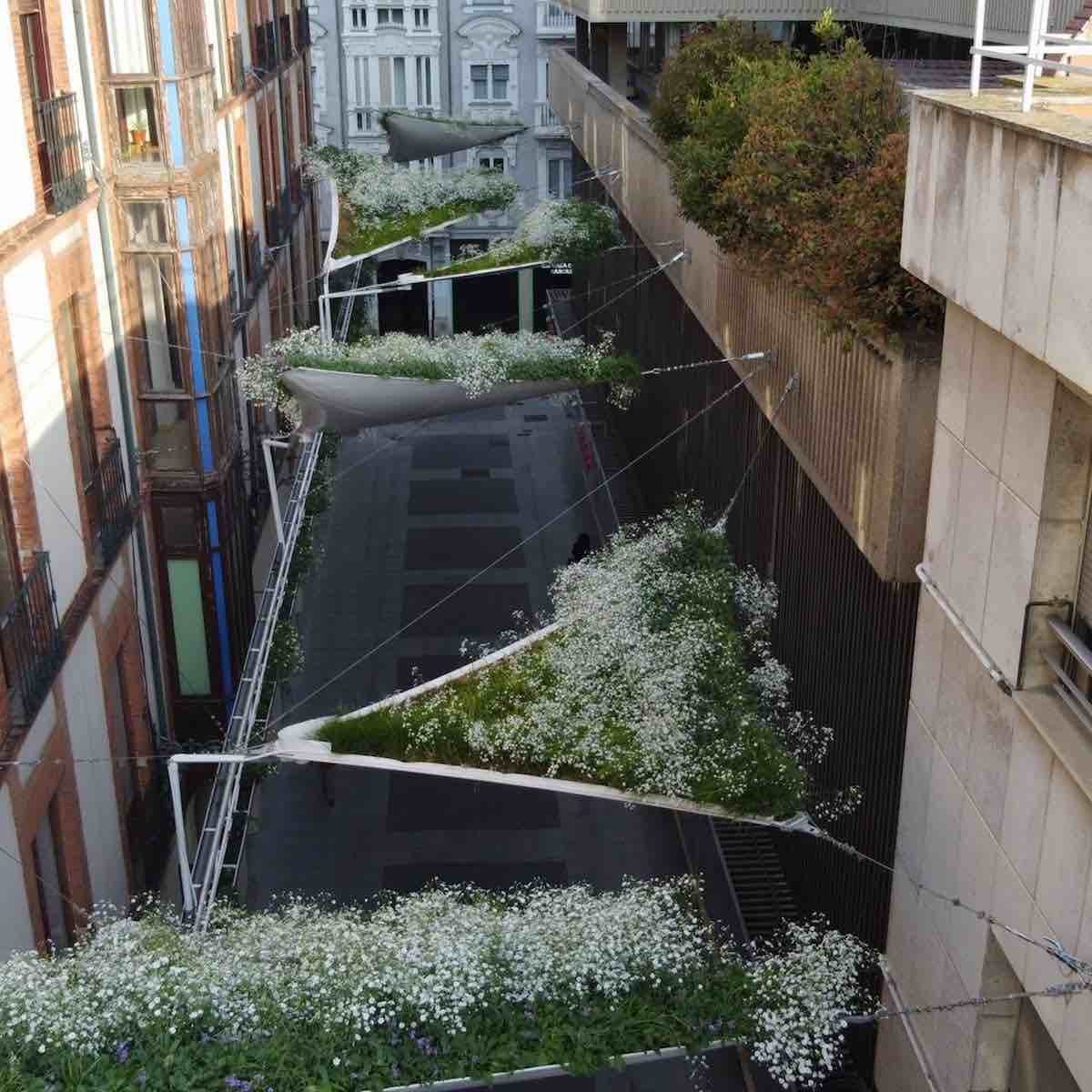 toldo de plantas