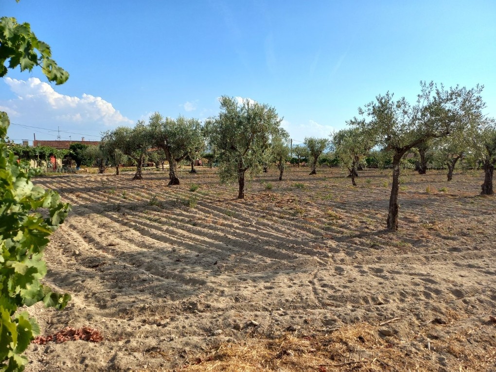 Casa de campo com terreno