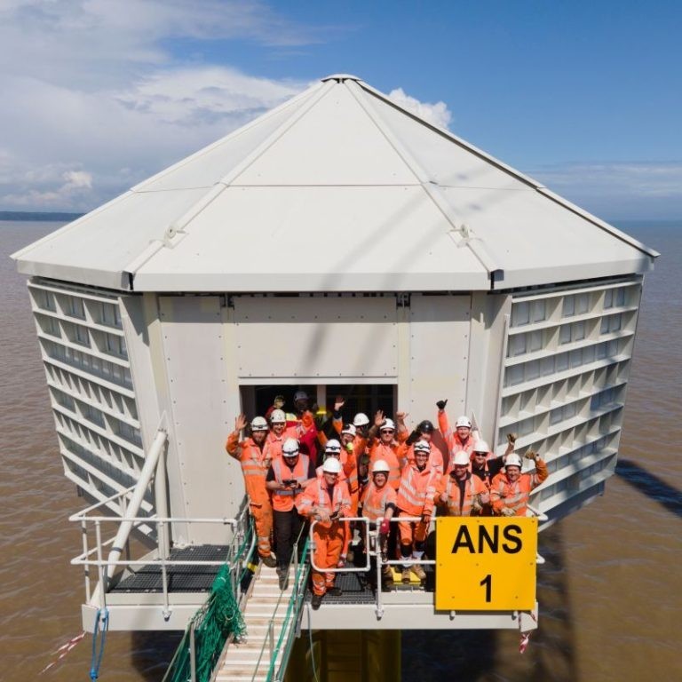 Estas curiosas "casas" são para gaivotas em perigo de extinção