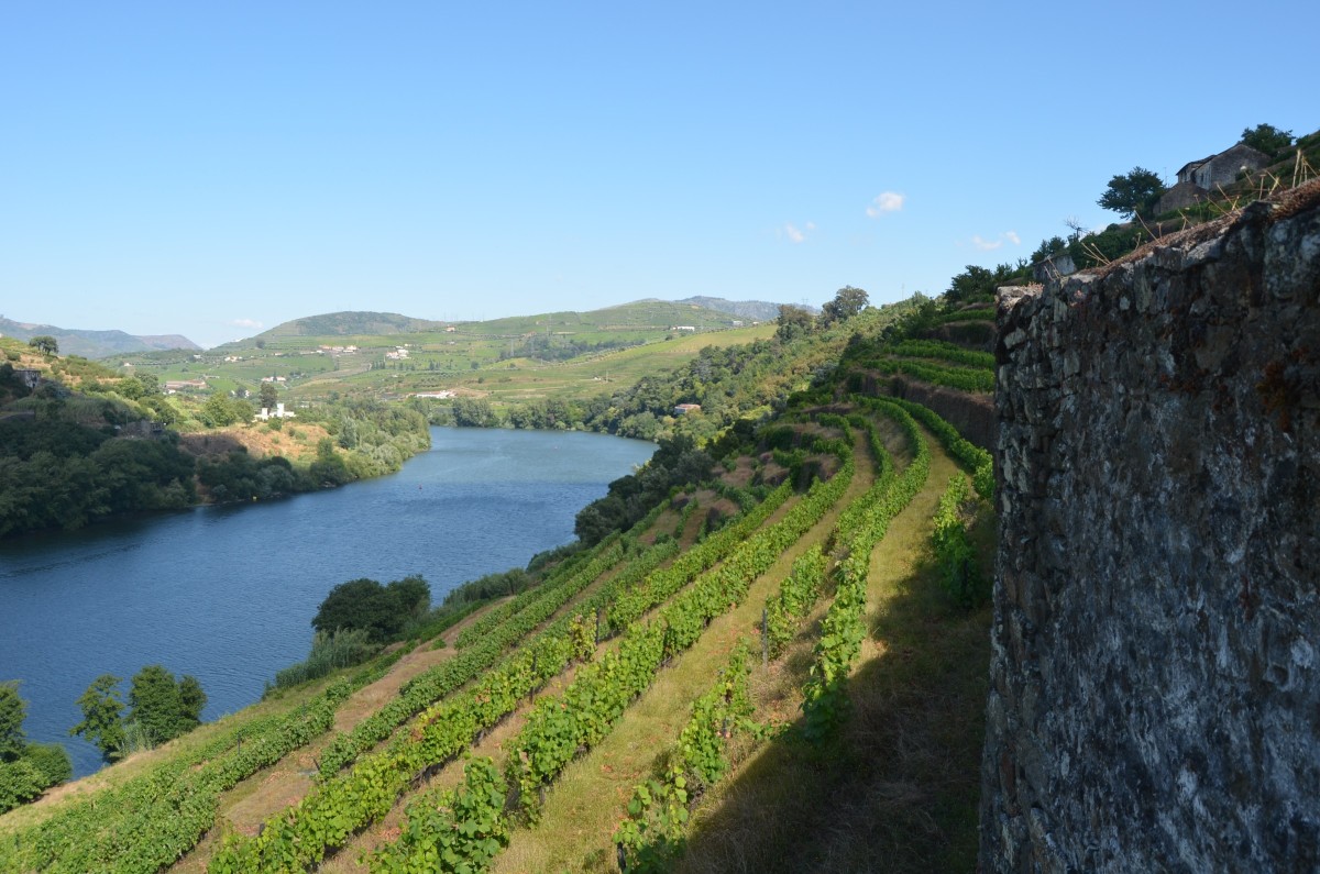 Lamego Douro