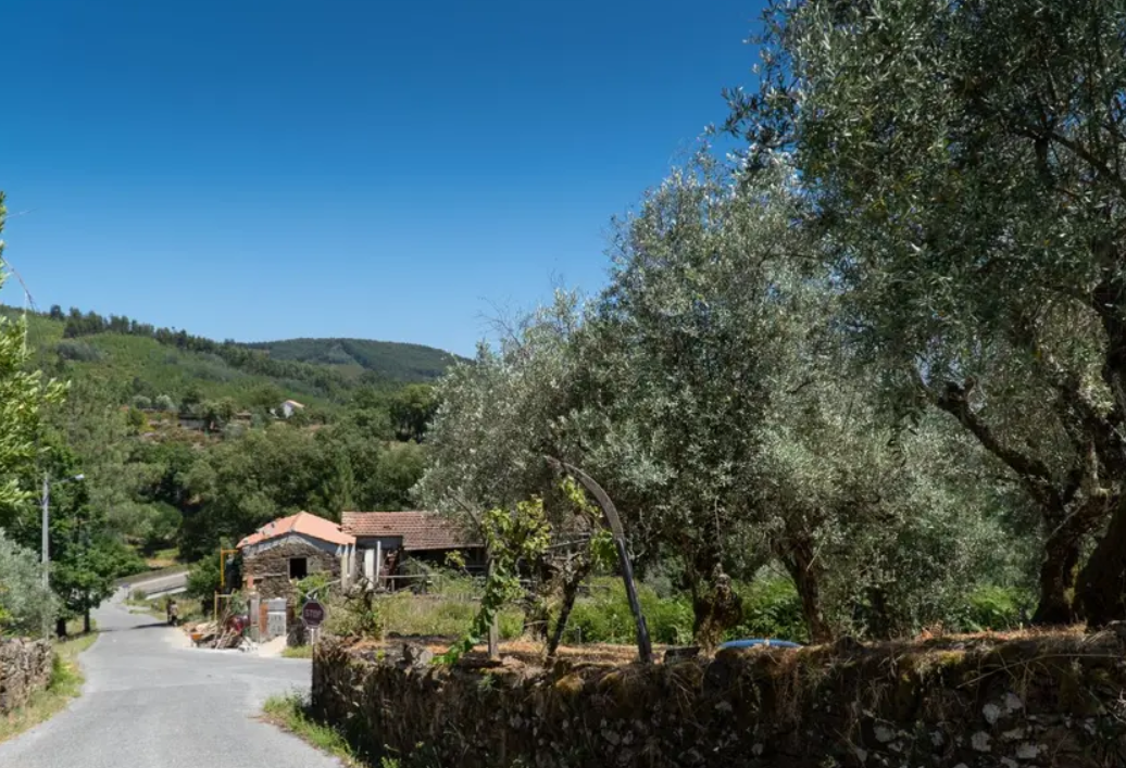 Rural properties