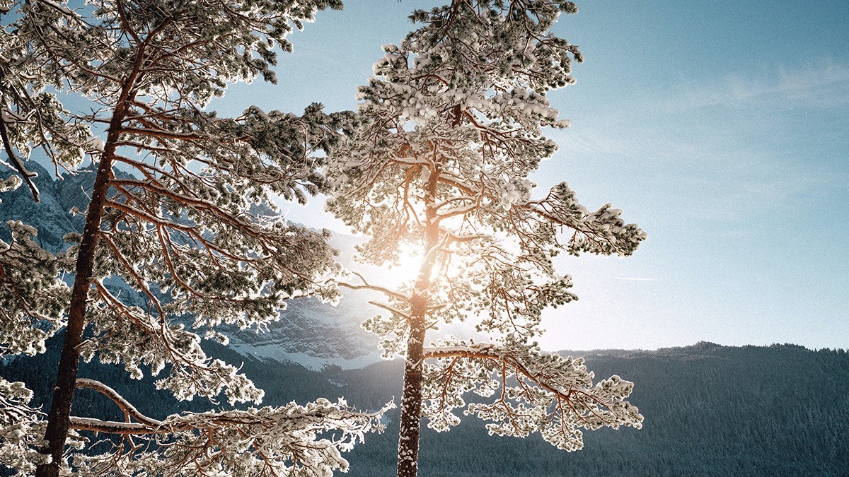 O inverno 2023 está chegando. Qual a diferença entre equinócio e solstício?