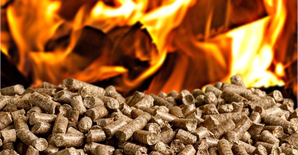 Pellets: sabes onde se deve deitar fora as cinzas da tua salamandra?